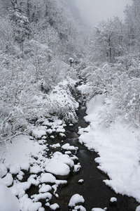 雪溪