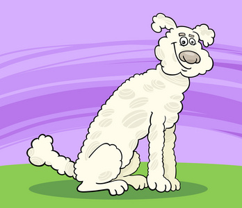 贵宾犬狗卡通插图图片