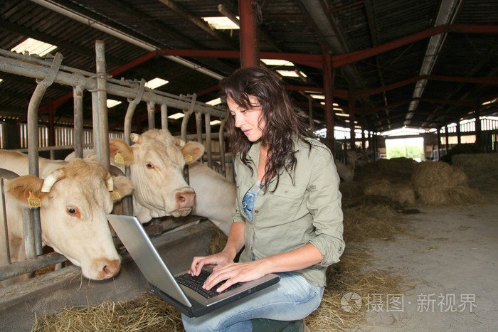 兽医在谷仓里与便携式计算机