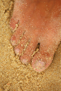 关于沙滩人体足部