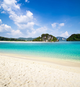 海滩和热带海