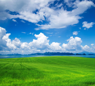 绿色的原野