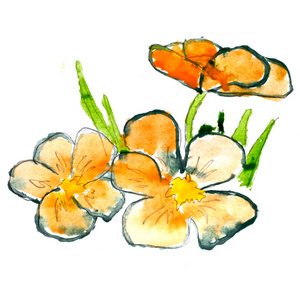 抽象的手是橙色草花卉水彩花卉画