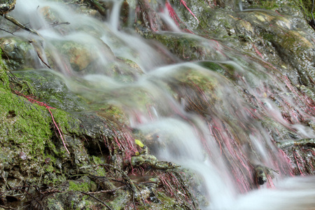 水春景