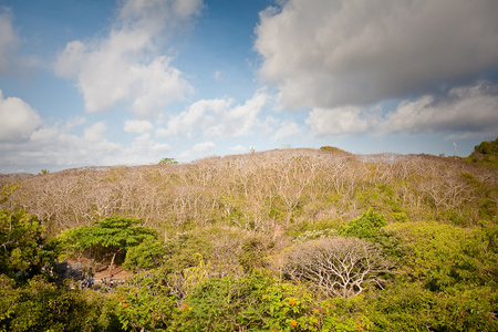 巴厘岛风景