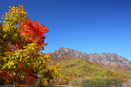 山在秋天