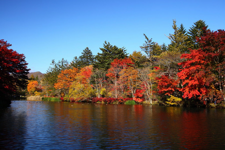秋天的色彩池塘