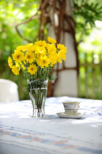 黄色雏菊和茶杯子户外