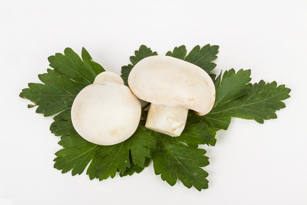 在白色背景上的白色蘑菇