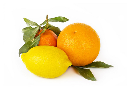 白色背景上的柑橘属水果 国语，柠檬和 orangecitrus 水果的白色背景上 普通话，柠檬和橘子