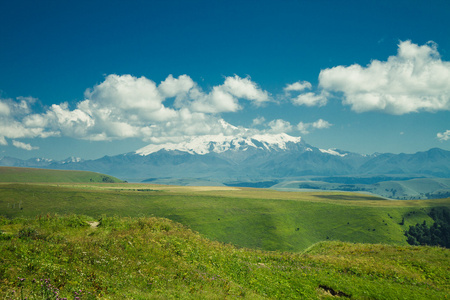 夏天山绿草和蓝色天空风景