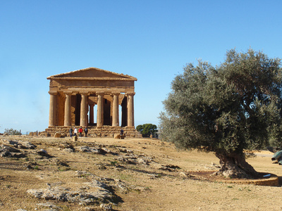 橄榄树与希腊神庙