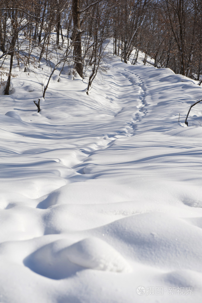 获奖雪景脚印图片图片