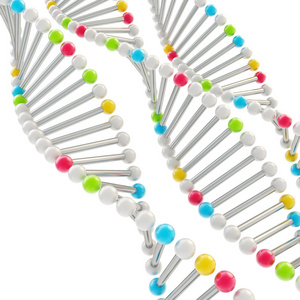 dna 链的所作的科学背景