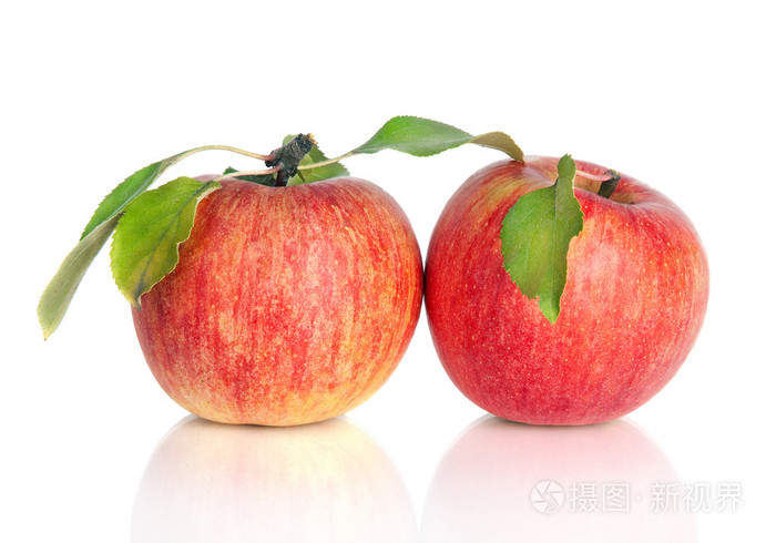 用树叶白色上孤立的两个红苹果