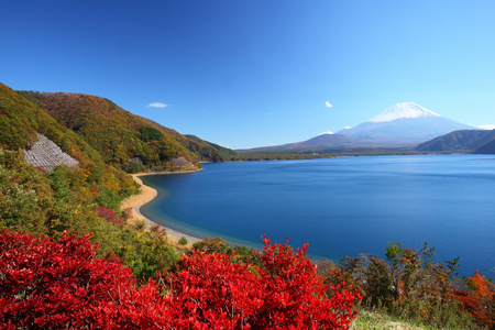 富士山和湖本栖湖