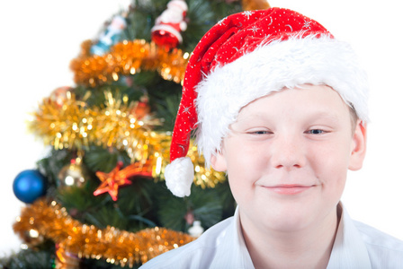 一个男孩在圣诞树的背景上的肖像