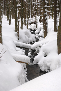 雪克里克