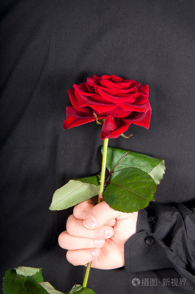 一个人拿一枝红玫瑰在他背后的图片