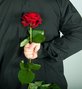 一枝红杏一个人拿一枝红玫瑰在他背后的图片照片