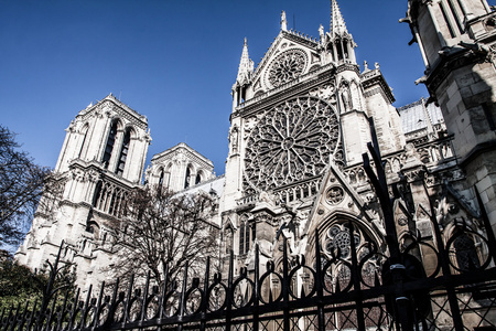 大教堂巴黎圣母院巴黎 法国 欧洲