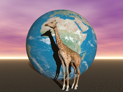 非洲和长颈鹿