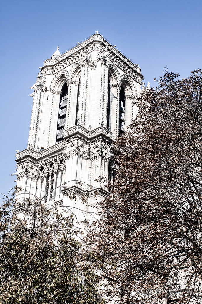 大教堂巴黎圣母院巴黎法国欧洲