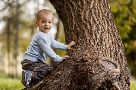 在树上的小男孩