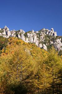 秋岩山