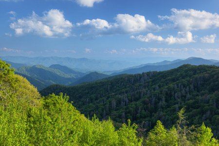 夏天，大烟山