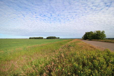 sommar landskap med grna flt och vgen