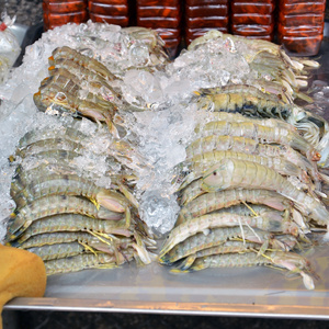 螳螂虾冰鲜市场