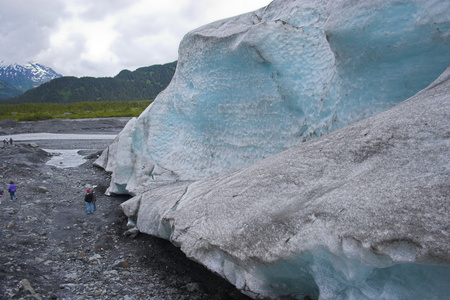 基奈峡湾冰川