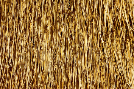 稻草纹理图片