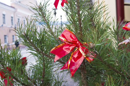 圣诞树上的红色蝴蝶结