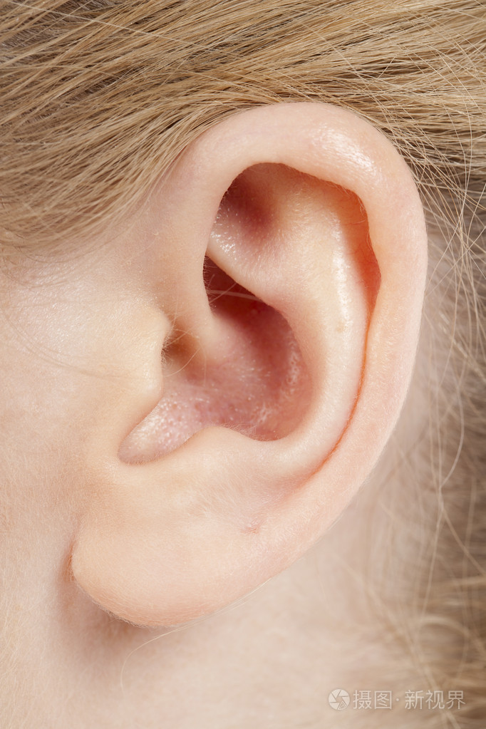女性的耳朵
