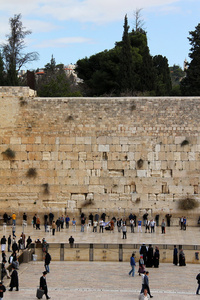在哭墙祈祷的犹太信徒图片