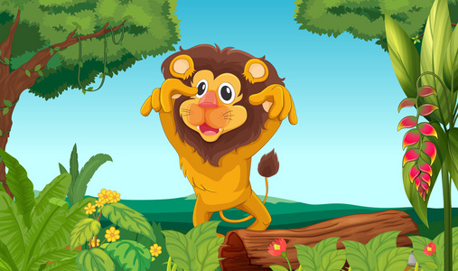 国王在森林中的狮子照片