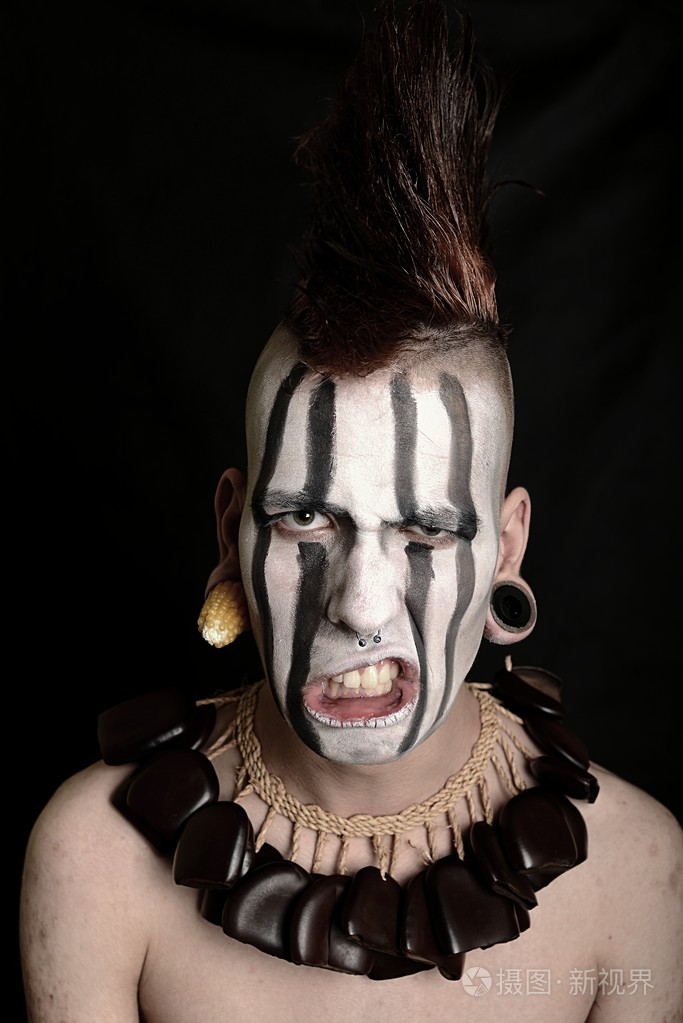 美国印地安酋长的肖像