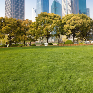 上海城市公园与现代建筑的背景