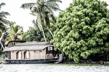 在回水附近棕榈树在阿勒皮 喀拉拉邦 印度船屋