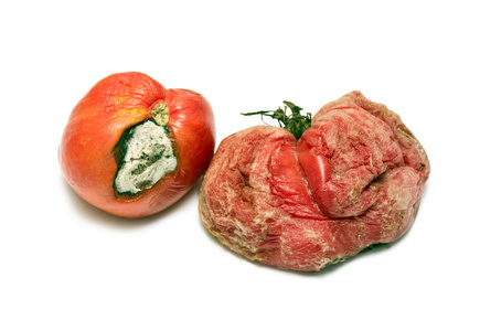 肮脏的食物媒介例证在白色背景的玻璃碗里发霉的西红柿.