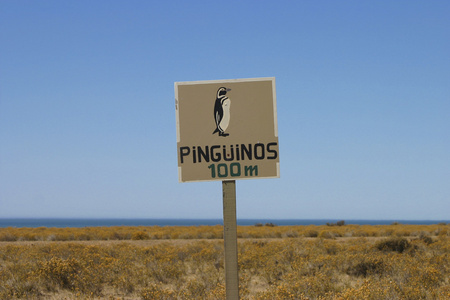 企鹅警告图片