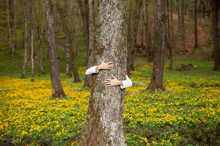 一个快乐的人，在森林中拥抱一棵树