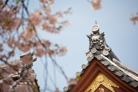 日本寺庙屋顶对蓝蓝的天空上的详细信息