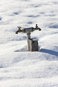 在雪中之三龙头