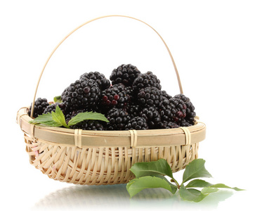 美丽黑莓用叶子在篮子上白色隔离