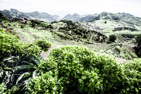 美丽的山谷，在西班牙加那利群岛的山脉，特内里费岛 anaga