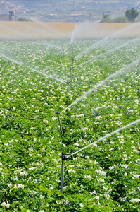 农田灌溉喷头西班牙