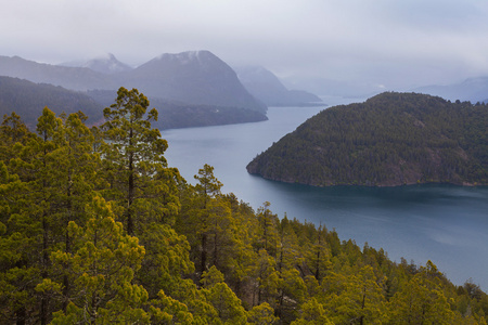 湖 huechulafquen 国家公园 lanin